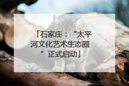 石家庄：“太平河文化艺术生态圈”正式启动