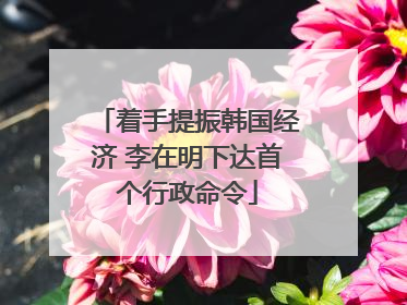 着手提振韩国经济 李在明下达首个行政命令
