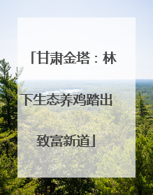 甘肃金塔：林下生态养鸡踏出致富新道