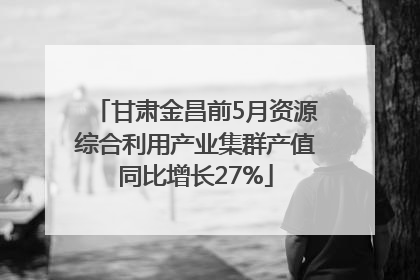 甘肃金昌前5月资源综合利用产业集群产值同比增长27%