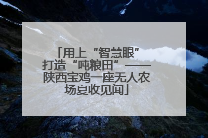 用上“智慧眼” 打造“吨粮田”——陕西宝鸡一座无人农场夏收见闻