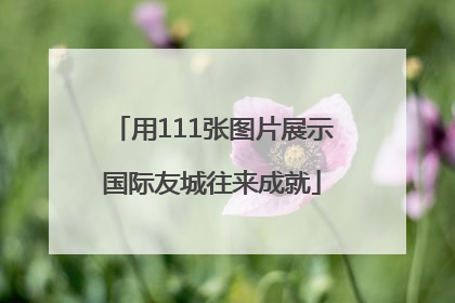 用111张图片展示国际友城往来成就