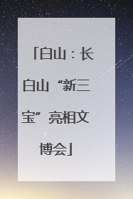 白山：长白山“新三宝”亮相文博会