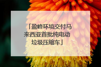 盈峰环境交付马来西亚首批纯电动垃圾压缩车