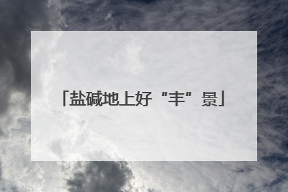 盐碱地上好“丰”景