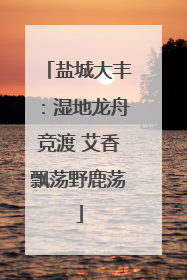 盐城大丰：湿地龙舟竞渡 艾香飘荡野鹿荡