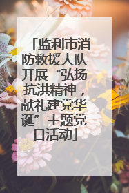 监利市消防救援大队开展“弘扬抗洪精神，献礼建党华诞”主题党日活动