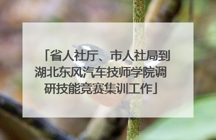 省人社厅、市人社局到湖北东风汽车技师学院调研技能竞赛集训工作