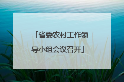 省委农村工作领导小组会议召开
