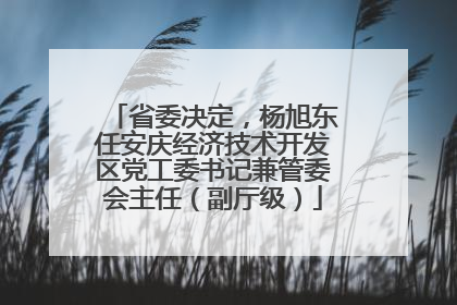 省委决定，杨旭东任安庆经济技术开发区党工委书记兼管委会主任（副厅级）