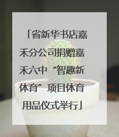 省新华书店嘉禾分公司捐赠嘉禾六中“智趣新体育”项目体育用品仪式举行