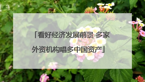 看好经济发展前景 多家外资机构唱多中国资产