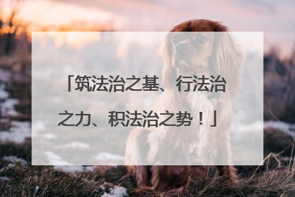 筑法治之基、行法治之力、积法治之势！