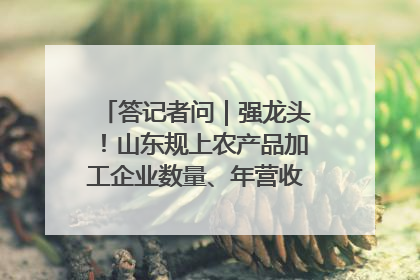 答记者问｜强龙头！山东规上农产品加工企业数量、年营收均居全国首位