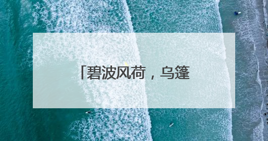 碧波风荷，乌篷船缓缓穿过，来扬州新城廖家沟公园感受诗意清凉