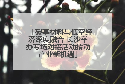 碳基材料与低空经济深度融合 长沙举办专场对接活动撬动产业新机遇