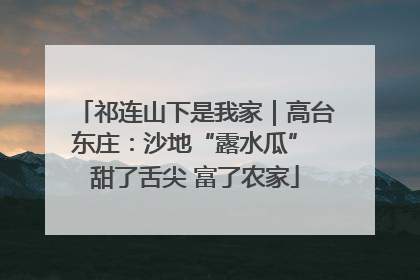 祁连山下是我家｜高台东庄：沙地“露水瓜” 甜了舌尖 富了农家