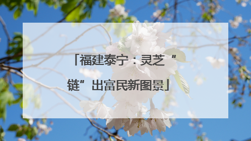 福建泰宁：灵芝“链”出富民新图景