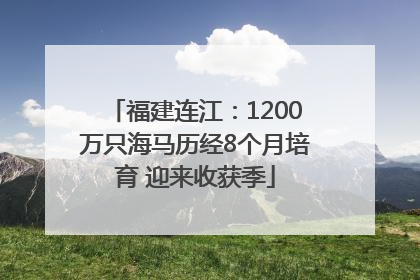 福建连江：1200万只海马历经8个月培育 迎来收获季