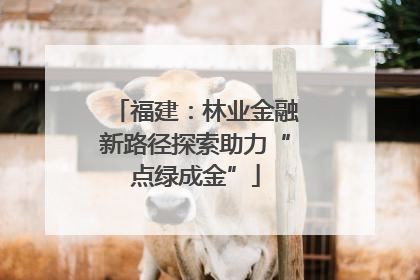 福建：林业金融新路径探索助力“点绿成金”
