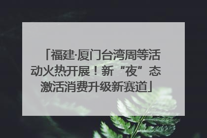 福建·厦门台湾周等活动火热开展！新“夜”态激活消费升级新赛道