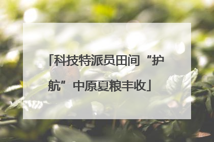 科技特派员田间“护航”中原夏粮丰收
