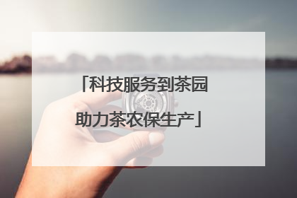 科技服务到茶园 助力茶农保生产