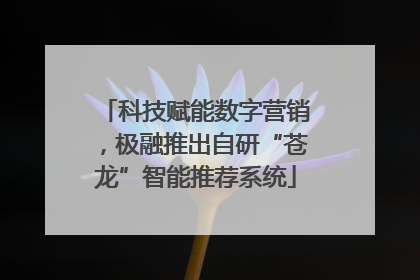 科技赋能数字营销，极融推出自研“苍龙”智能推荐系统