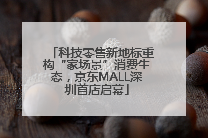 科技零售新地标重构“家场景”消费生态，京东MALL深圳首店启幕