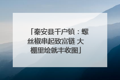 秦安县千户镇：螺丝椒串起致富链 大棚里绘就丰收图