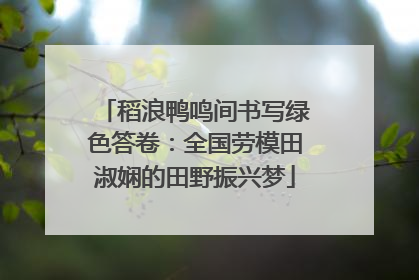 稻浪鸭鸣间书写绿色答卷：全国劳模田淑娴的田野振兴梦