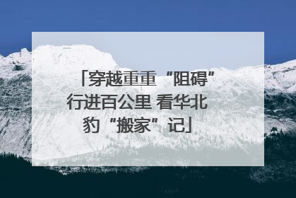 穿越重重“阻碍”行进百公里 看华北豹“搬家”记