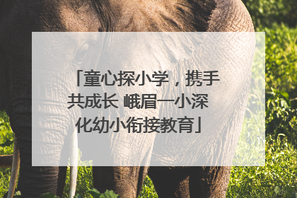 童心探小学，携手共成长 峨眉一小深化幼小衔接教育