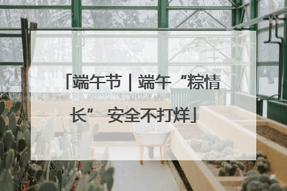 端午节｜端午“粽情长” 安全不打烊