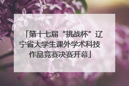 第十七届“挑战杯”辽宁省大学生课外学术科技作品竞赛决赛开幕