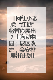 网红小老虎“红糖”将暂停展出？上海动物园：展区改建，会安排展出计划