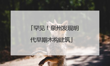 罕见！泉州发现明代早期木构建筑