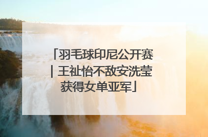 羽毛球印尼公开赛｜王祉怡不敌安洗莹 获得女单亚军