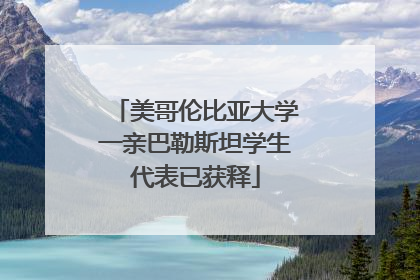 美哥伦比亚大学一亲巴勒斯坦学生代表已获释