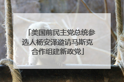 美国前民主党总统参选人杨安泽邀请马斯克合作组建新政党