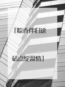 粽香伴归途 站点绽温情