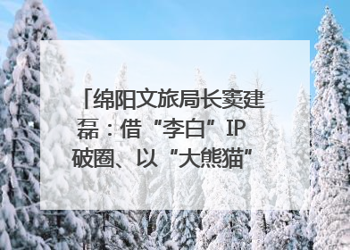 绵阳文旅局长窦建磊：借“李白”IP破圈、以“大熊猫”引流 依托科技优势绽放城市文旅魅力｜文旅局长说