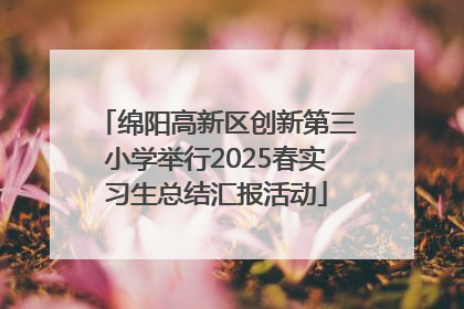 绵阳高新区创新第三小学举行2025春实习生总结汇报活动