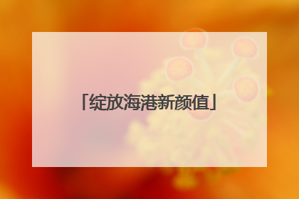 绽放海港新颜值