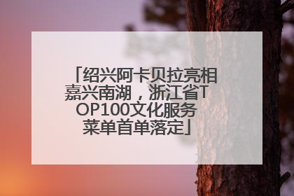 绍兴阿卡贝拉亮相嘉兴南湖，浙江省TOP100文化服务菜单首单落定