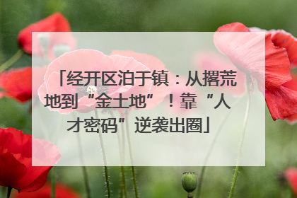 经开区泊于镇：从撂荒地到“金土地”！靠“人才密码”逆袭出圈