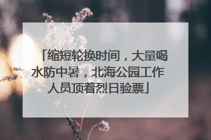 缩短轮换时间，大量喝水防中暑，北海公园工作人员顶着烈日验票