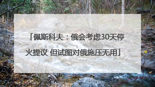 佩斯科夫：俄会考虑30天停火提议 但试图对俄施压无用