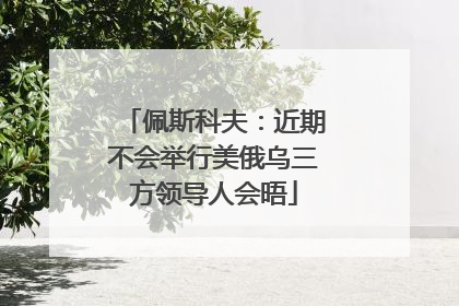 佩斯科夫：近期不会举行美俄乌三方领导人会晤