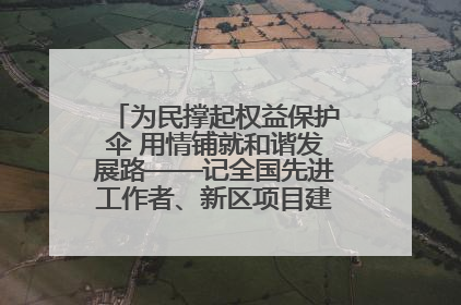 为民撑起权益保护伞 用情铺就和谐发展路——记全国先进工作者、新区项目建设中心干部卢小勇